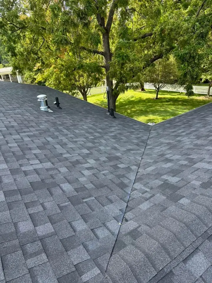 Roof Debris Clearing